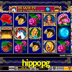 hippopg Rio de Janeiro - Bonus Terms